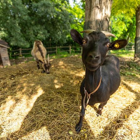 Agriturismo Colle Dei Pivi بونتي سول مينشيو المظهر الخارجي الصورة